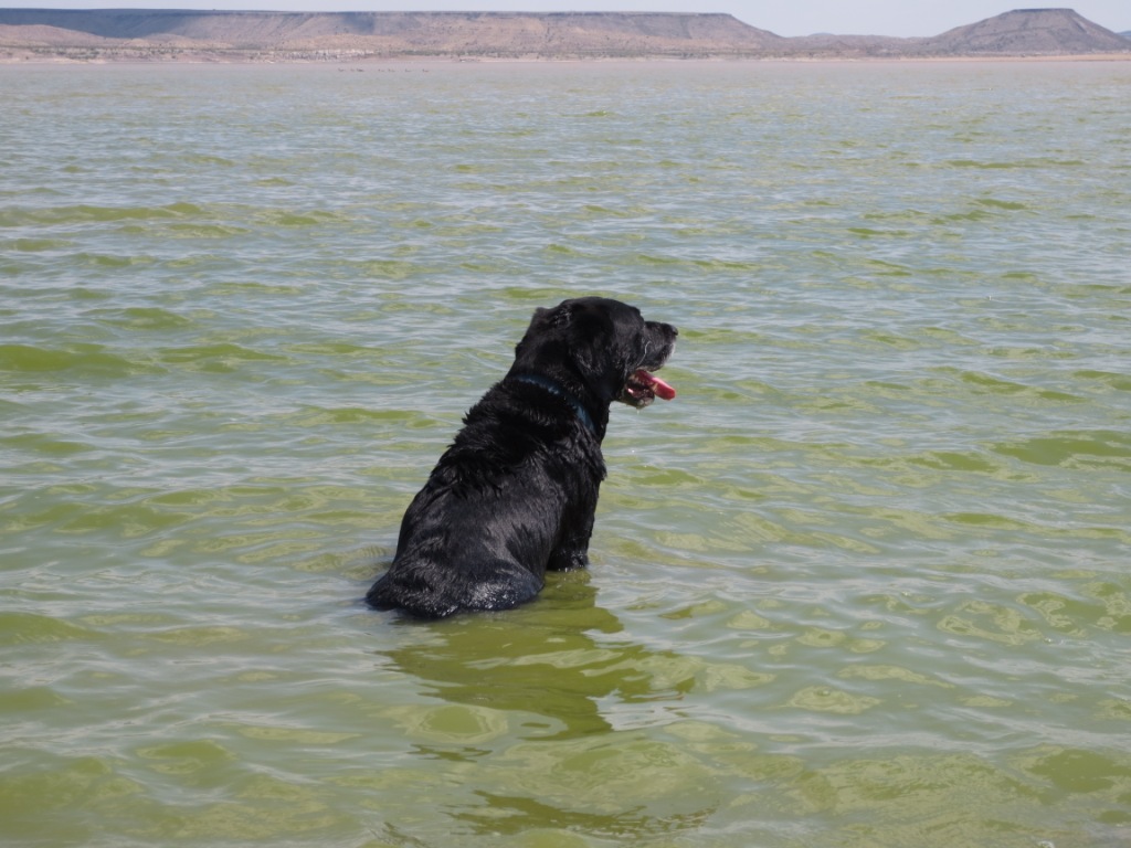 Elephant Butte State park